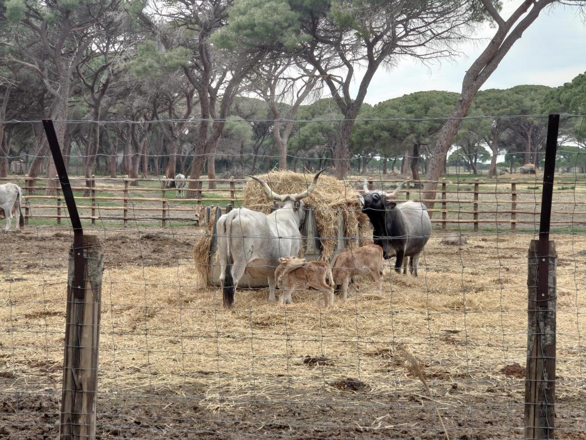 Agriturismo Poderedodici Orbetello Eksteriør billede