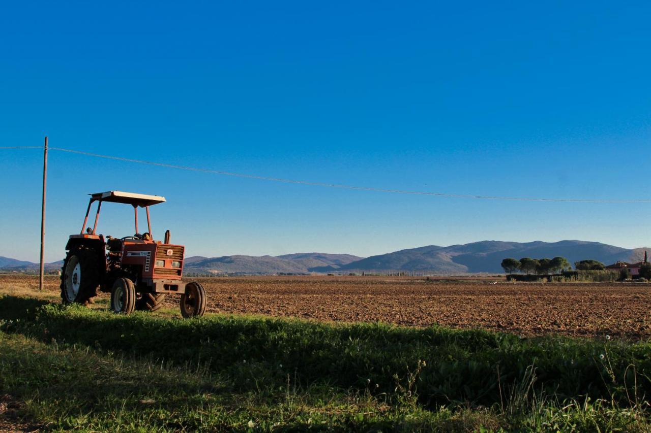 Agriturismo Poderedodici Orbetello Eksteriør billede